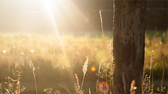 ddos压力测试网页端