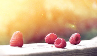 【平板版】触控的在线网站攻击